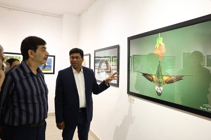 Guests in modern art gallery discussing framed hummingbird fine art photograph