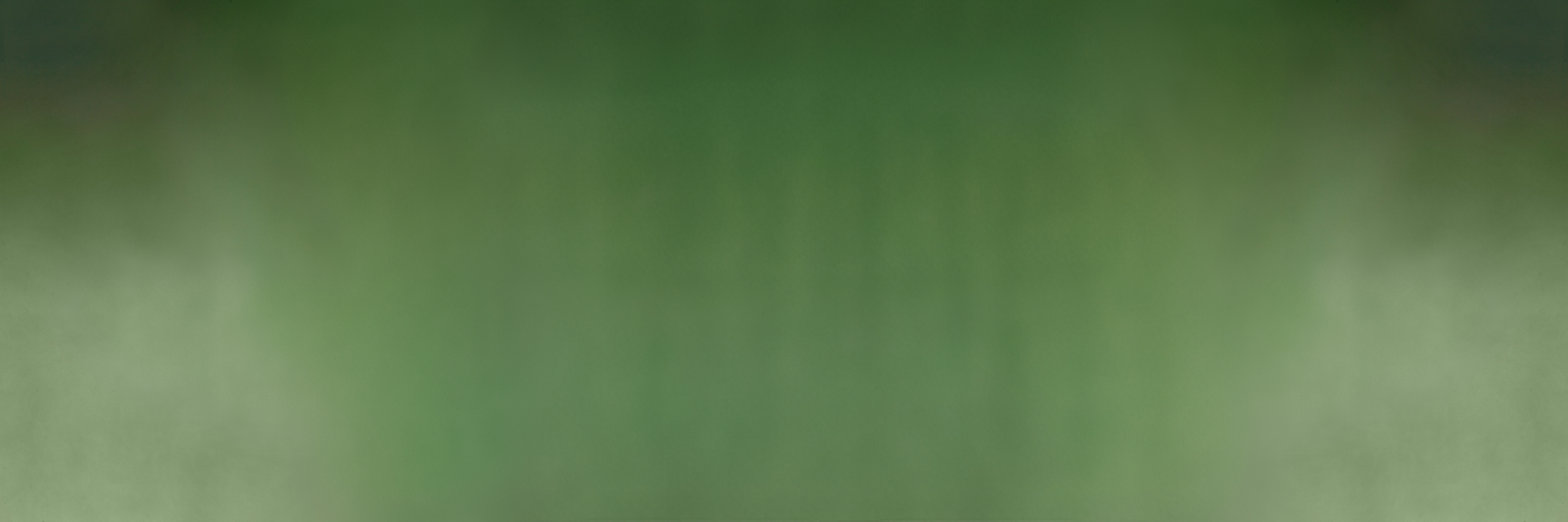 Lush green wilderness canopy background